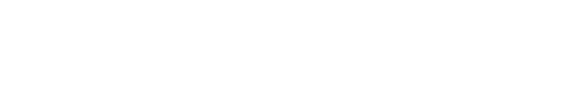 Everything Is Noise