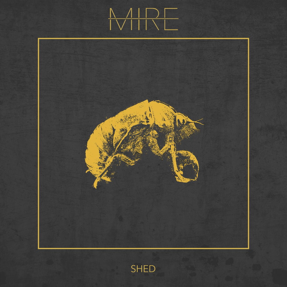 WFA: Mire