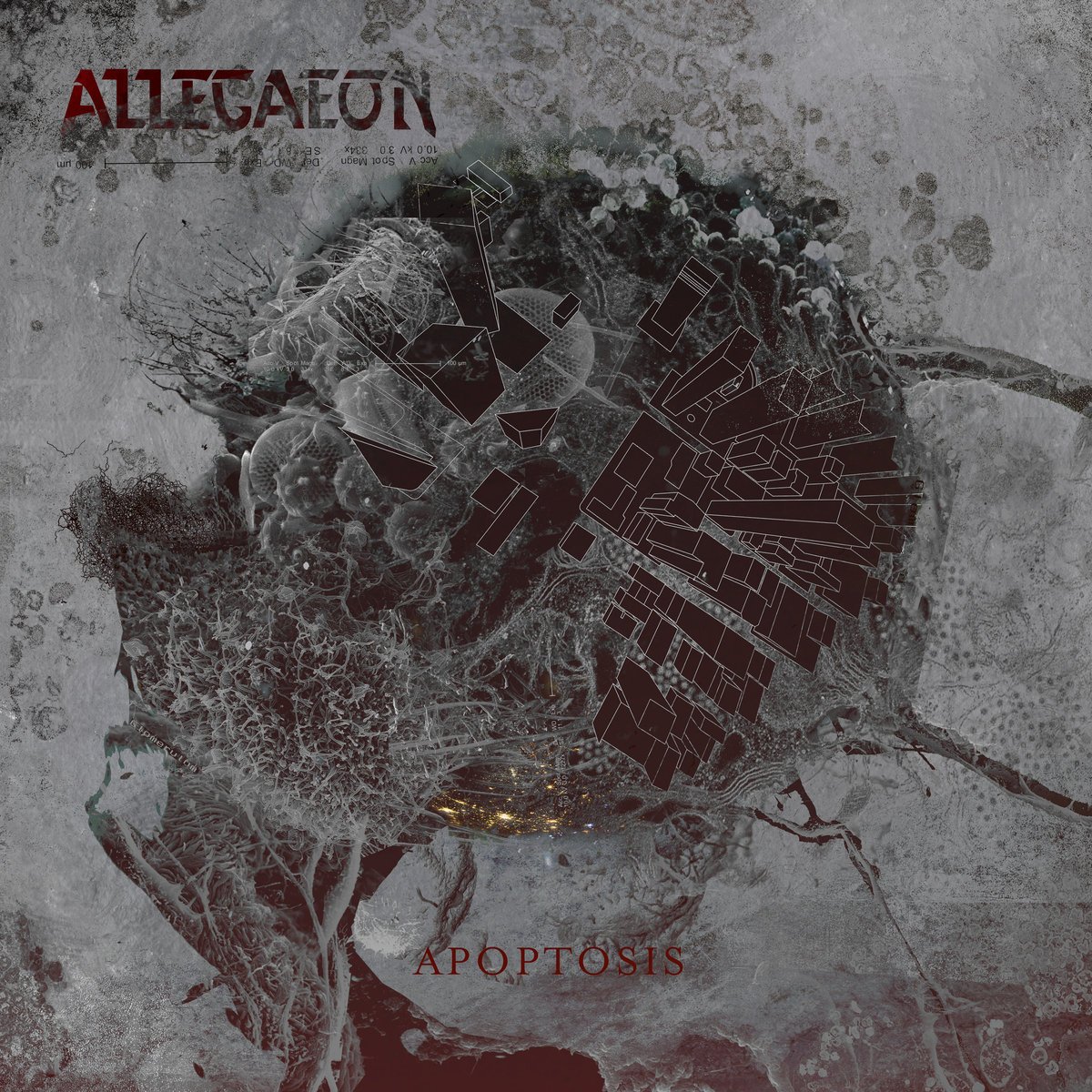 Allegaeon Get Scientific with New Album Announcement and Single