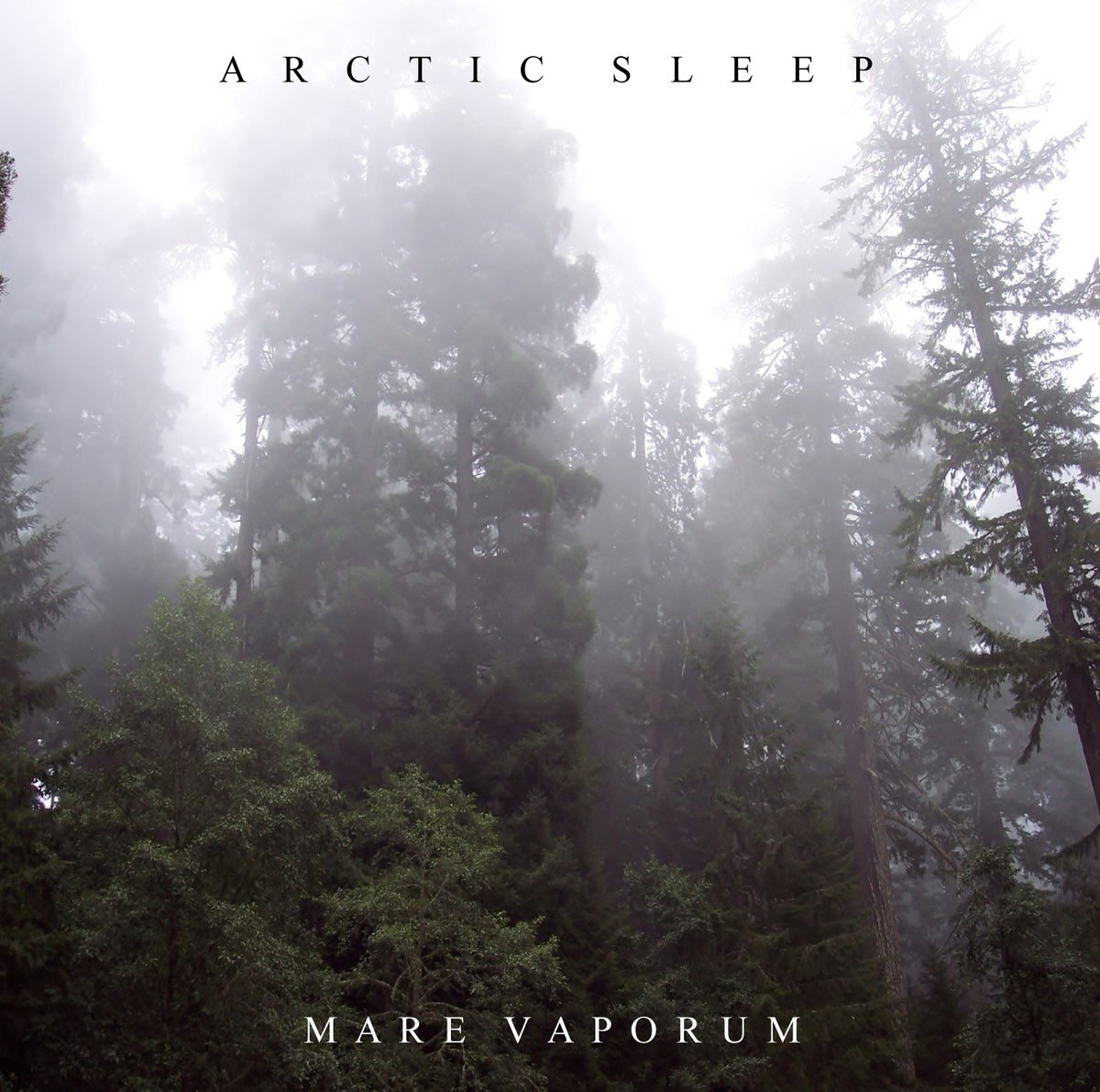 WFA: Arctic Sleep
