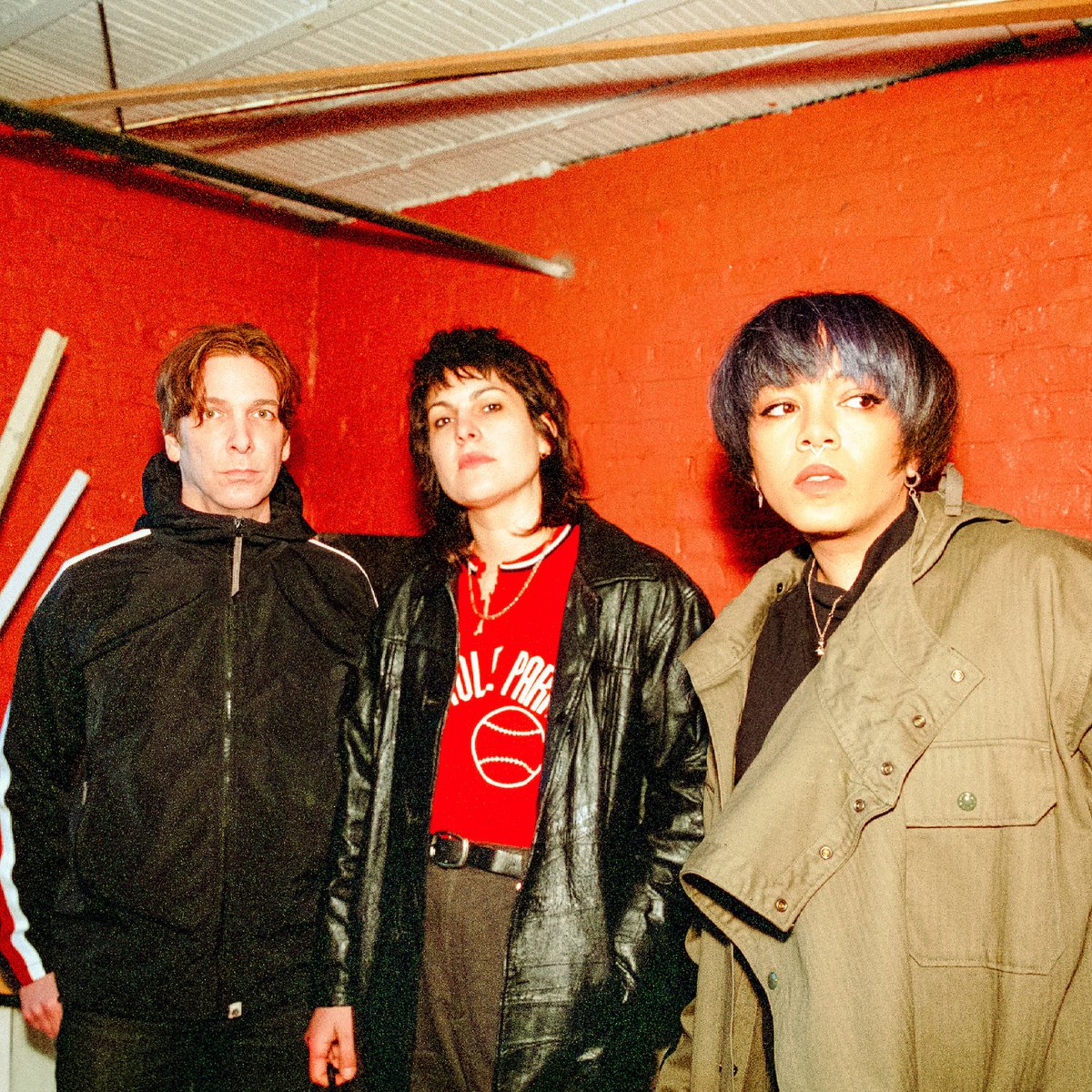 Ganser – “Animal Hospital”