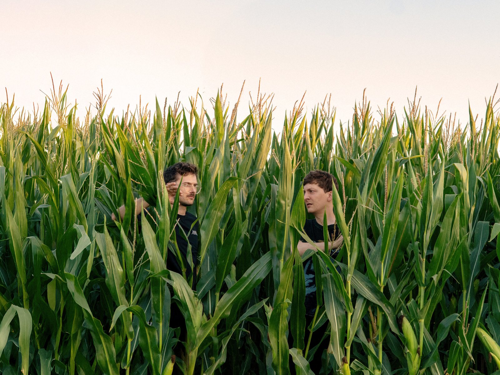 AUA Alleviate Any Aches Administering “Painkiller No. 2”