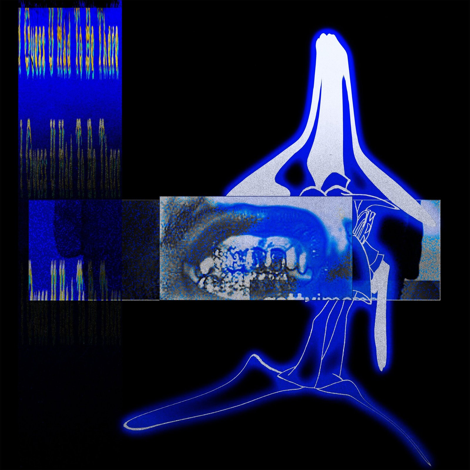 Elucid