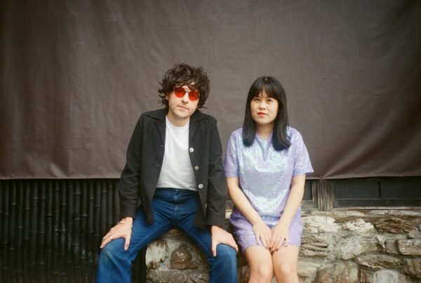 Chinese American Bear