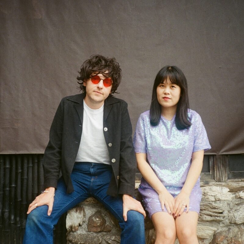 Chinese American Bear