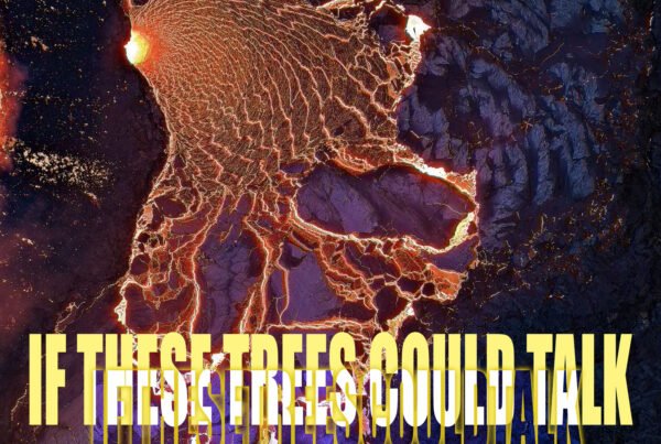 if these trees could talk