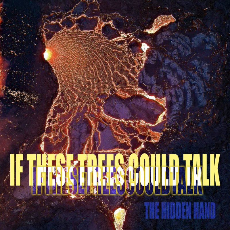 if these trees could talk